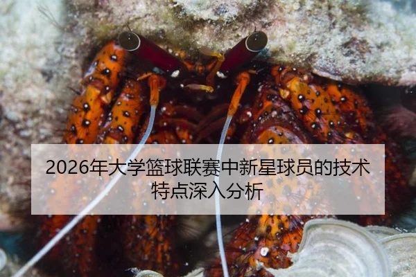 2026年大学篮球联赛中新星球员的技术特点深入分析