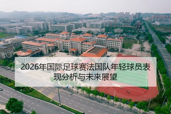 2026年国际足球赛法国队年轻球员表现分析与未来展望