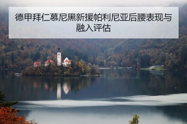 德甲拜仁慕尼黑新援帕利尼亚后腰表现与融入评估