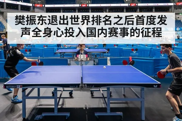樊振东退出世界排名之后首度发声全身心投入国内赛事的征程